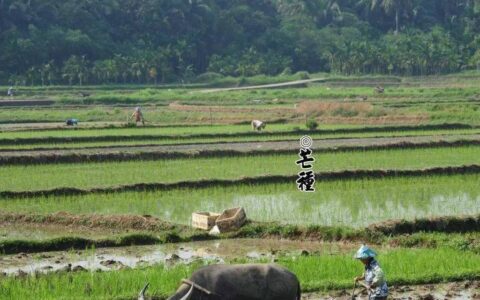 原创
公考小常识：二十四节气歌，很多成年人都记不全的基本常识（二十四节气歌）