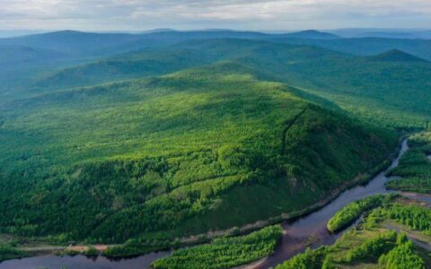 诵读二十四节气歌丨立夏：夏早日初长，南风草木香（夏早日初长,南风草木香拼音）