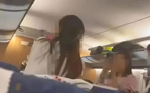 “高铁掌掴”案反击女子被认定“互殴”，为何引发热议？-高铁打架事件处理结果