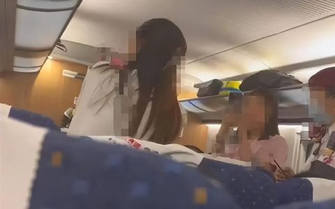 高铁掌掴事件后续：打人夫妻哭求和解，女子不服互殴判定申请复议-高铁殴打乘务员踢伤乘务员