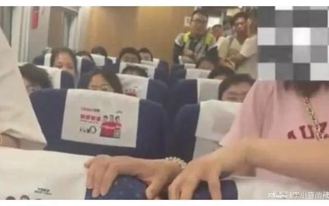 高铁女子被打而还手被认定为互殴引热议，女子不服提起行政复议-女子高铁打哭