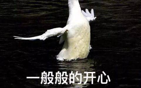 偶买噶!最高18℃!先别着急脱秋裤,济南这周的气温让人猝不及防…-济南温度查询一周天气预报