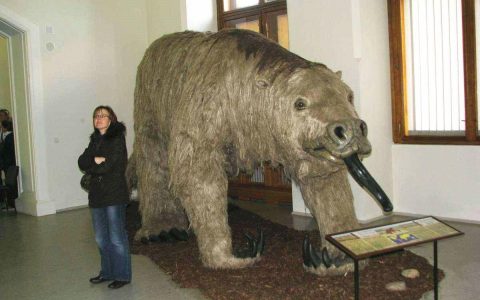 地球史上最大的地懒：行动缓慢只吃素，却可轻松吓跑剑齿虎（地球上最大的物种是什么）