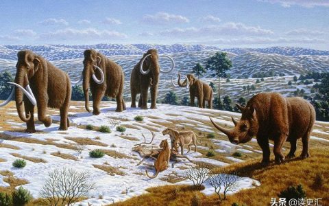 距今9000年前，沃姆冰河时期，人类围捕剑齿虎的手段揭秘（中国最早的葡萄酒出现在哪个时期）