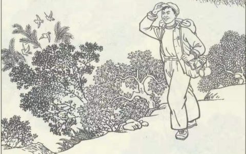 知青“插队落户”在深山，当地从未遭猛兽袭击，村民说有山神保护（知青插队的地方有哪些）