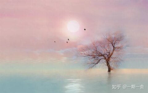 他3年稳健盈利200万美元，只因遵守这一铁律-今年挣了三个亿