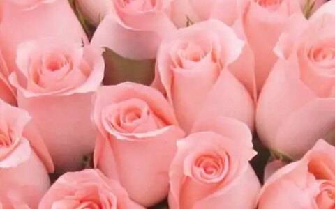 算命人直言：2021年4生肖，福气“登堂入室”，财富堆积成山-登堂入室是指什么生肖