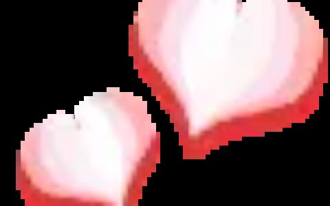 李文亮妻子今日在武汉诞下男婴，母子平安-李文亮老婆