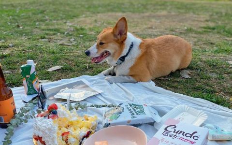 抖音成都玩乐热门榜前10 成都再添城市新地标（成都最火抖音）