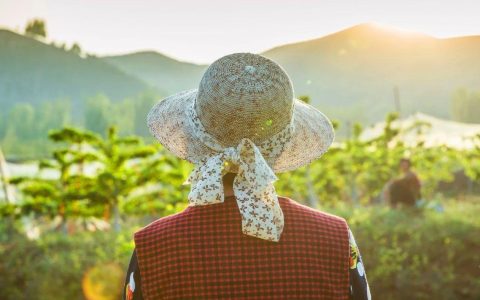 母亲节｜30首关于母亲的诗词，挑一句送给你的妈妈-关于母亲的诗句诗