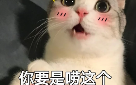 2023年领证结婚黄道吉日表。（2023年适合领证的吉日）