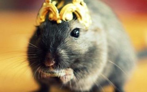 第一天入职第二天就离职是种怎样的体验？-头天入职第二天辞职