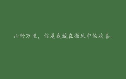 520情人节情话最暖心短句 521我爱你文案朋友圈说说-520我爱你的文案