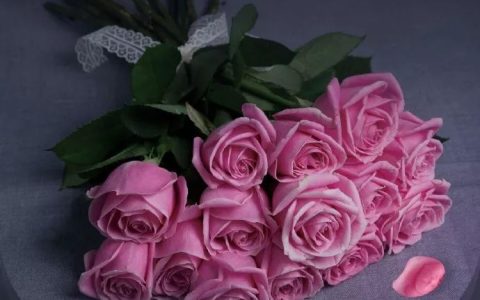 520文案！今天是情人节，情人节快乐~-今天是情人节了