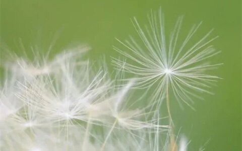 520唯美句子文案精选34句（句子妈咪）-520文字简短