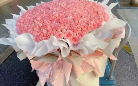 520告白文案(抒情)-520告白的情话