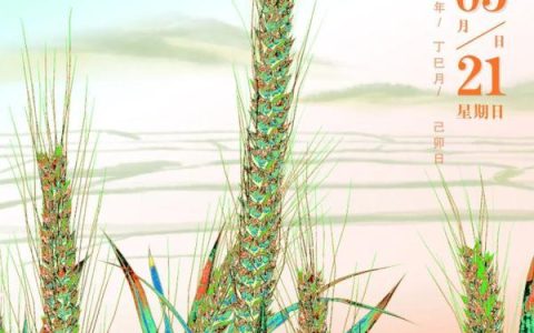 二十四节气之小满：小得盈满正当好（24节气里的小满是什么意思）