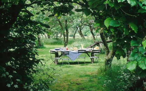 小满吃什么养生，小满节气的农事有什么（夏至要记得吃8种食物）