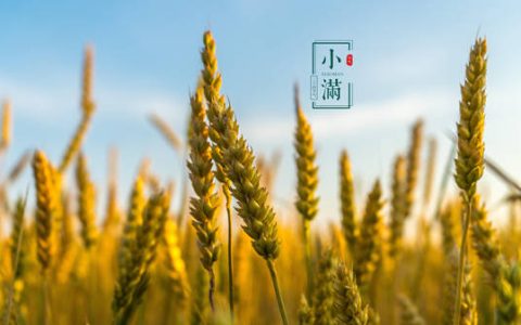 节气 | 文艺里的“小满”（节气小满的来历及故事）