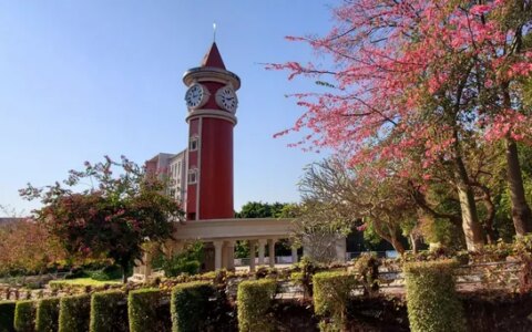 岭南师范学院怎么样？（岭南师范学院可以读研究生吗）