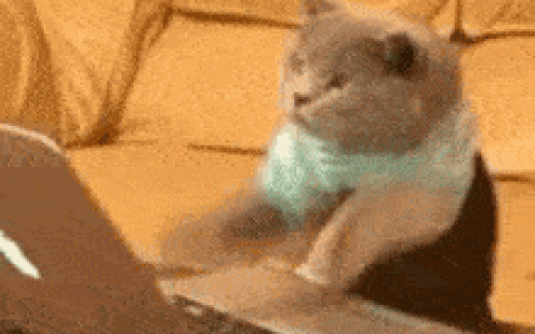 “五一调休”上热搜！“调休”用英语怎么说？-调休的英文翻译怎么说