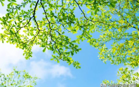 不觉间，已夏至-不觉夏已深上一句