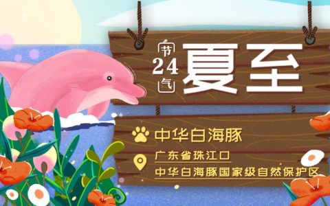 万物生长｜今日夏至-万物生长是哪个季节