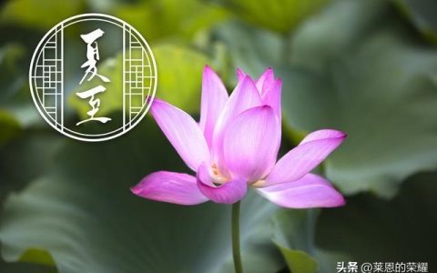 夏至，一年中最长的白天，古人是怎么发现的呢？-夏至是白天最长的一天