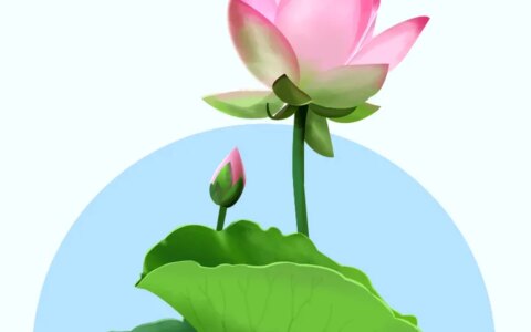 6 月 21 日 17 时 14 分迎来夏至，你对夏至都有哪些了解？-夏至是6月21还是6月22