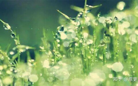 一年中最重要的8个节气之一！夏至的含义知多少？-夏至节气有哪些