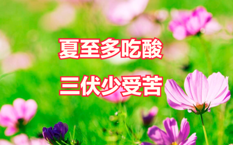 “夏至多吃酸，三伏少受苦”！建议多吃4菜一汤，舒舒服服过夏天-多吃酸的食物