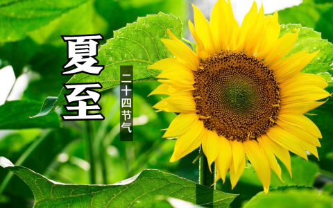 “夏至吃5宝，不往医院跑”，“5宝”指啥？明日夏至，别忘了吃！-夏至吃食