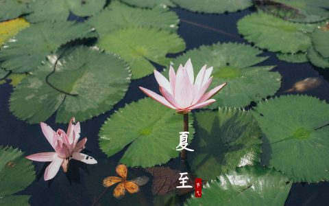 6月21日夏至：吃什么？做什么？-夏至这天要吃什么食物