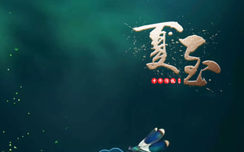 21日夏至：你想吃碗什么样的“夏至面”？-夏至吃面图片大全