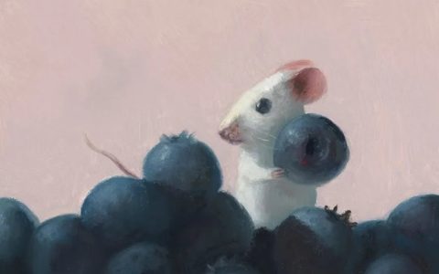 小老鼠，你在吃什么呀-你猜小老鼠会吃什么