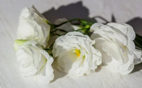 《只管去做》：为什么你的目标总是无法实现？（为什么目标不能实现）