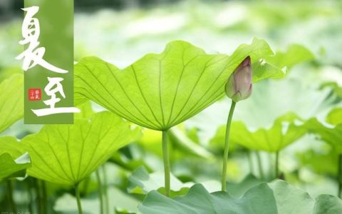 明日夏至，4道美食记得吃，清凉降温，家里人人都需要-美食大全的英语