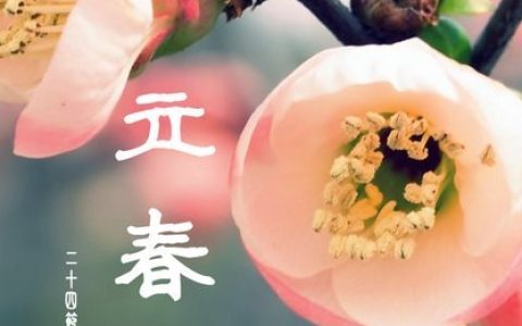 24节气对应吃什么食物？-二十四节气吃什么好