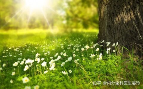 夏至美食的正确打开方式-食谱大全家常菜的做法大全下载