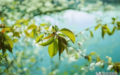 网络中国节·端午 | 10首关于端午节的诗词，你知道多少？-关于端午节的诗有哪些诗句三年级下册