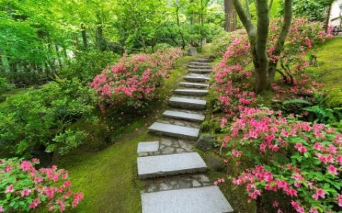 《我的自画像》课堂实录-我的自画像课堂实录教案