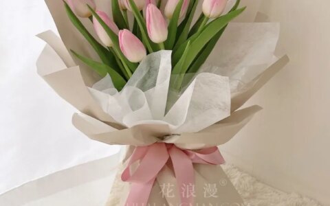 郁金香花语，5种颜色郁金香象征意义，郁金香适合送给谁？（郁金香的花语是?）