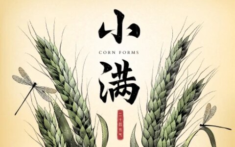 小满节气，天越来越热了，别忘吃这“健脑菜”，清热除湿补营养-小满节气中医养生