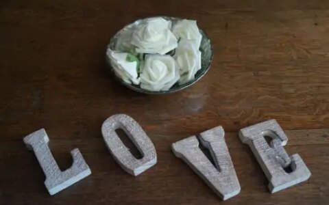 探究花语，了解哪些花象征着深情爱意（象征爱情的花都有什么）