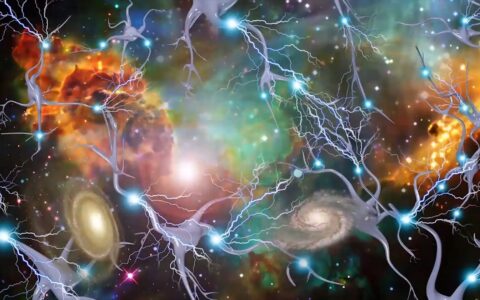 有什么东西学生吃了可以增长记忆力和注意力？（学生吃什么营养能提高记忆力）