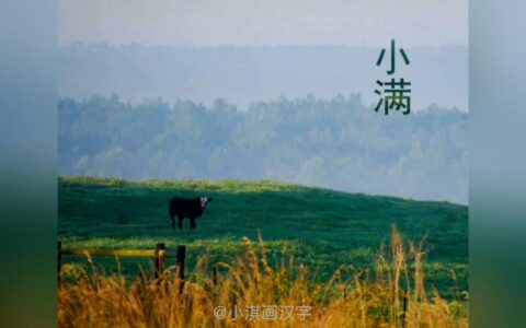 讲给孩子的二十四节气：小满-二十四节气之小满介绍