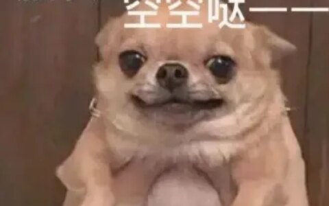 请问什么营养品可以提高记忆力，尤其是适合学生吃的？（学生要吃哪种能增加记忆）