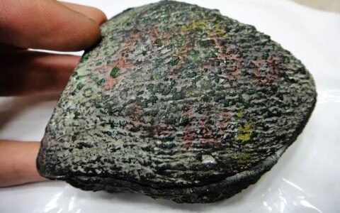 8000买的翡翠赌石，切开后都说是假的，结果出乎意料！-翡翠赌石实战攻略pdf