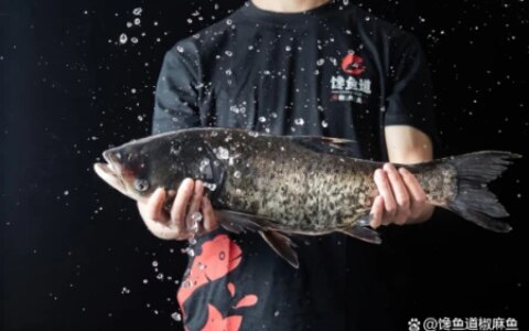 爱吃鱼的人会收获4个好处，但这2类人最好少吃！（爱吃鱼的人身体缺什么维生素）