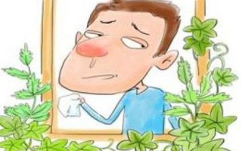 经久不愈的鼻窦炎怎么办？（经久不愈的鼻窦炎怎么办呢）